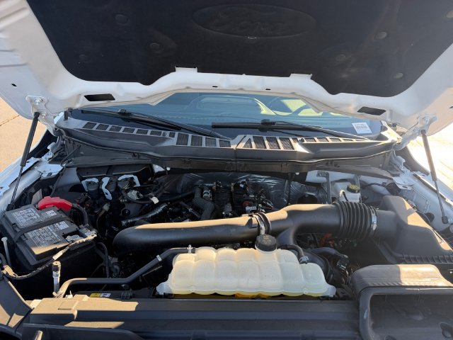 Used 2025 Ford F150 XLT w/ Equipment Group 301A Standard AWD/4WD image 21