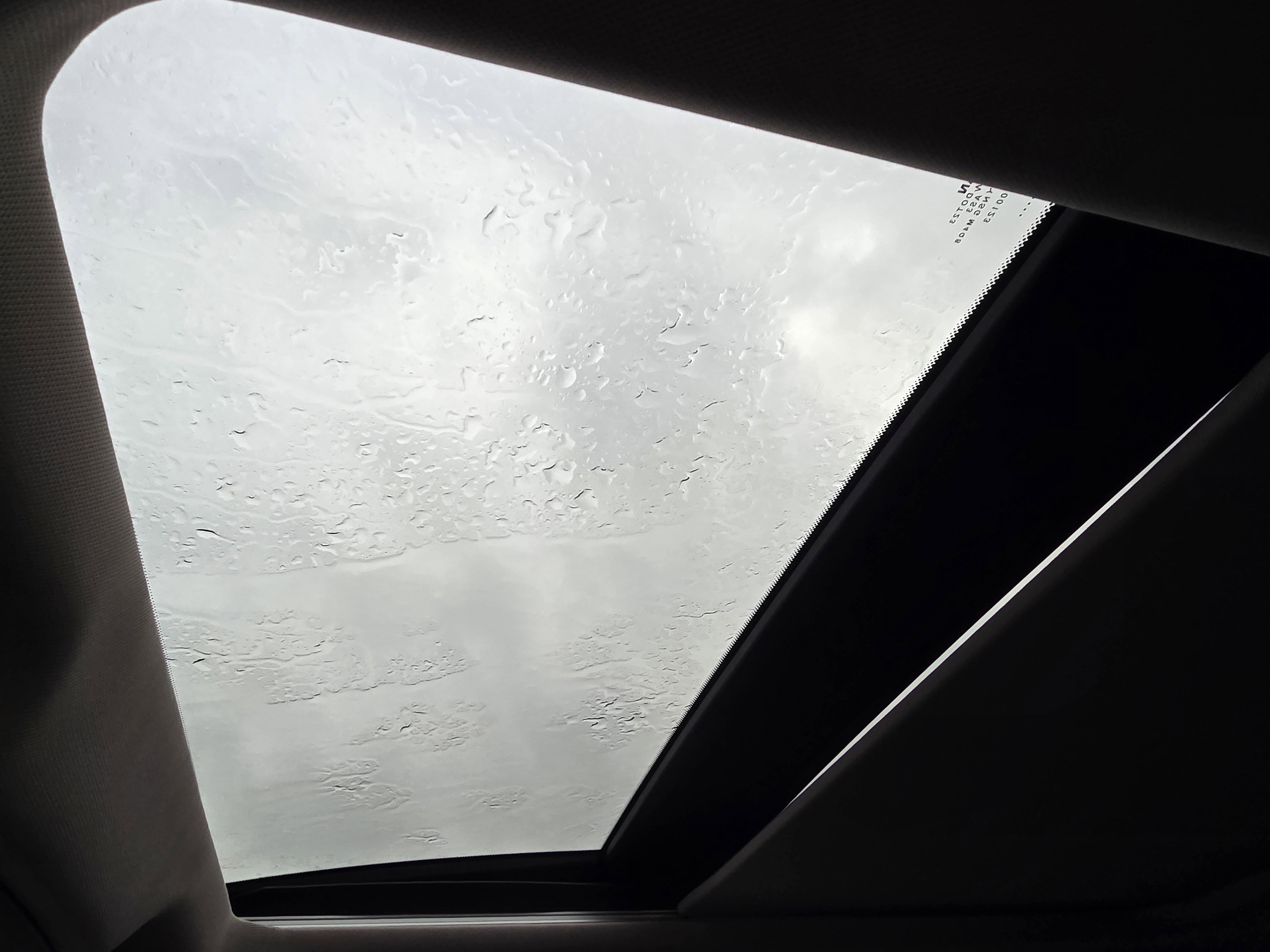 Used 2021 Nissan Rogue SV w/ Premium Package image 14