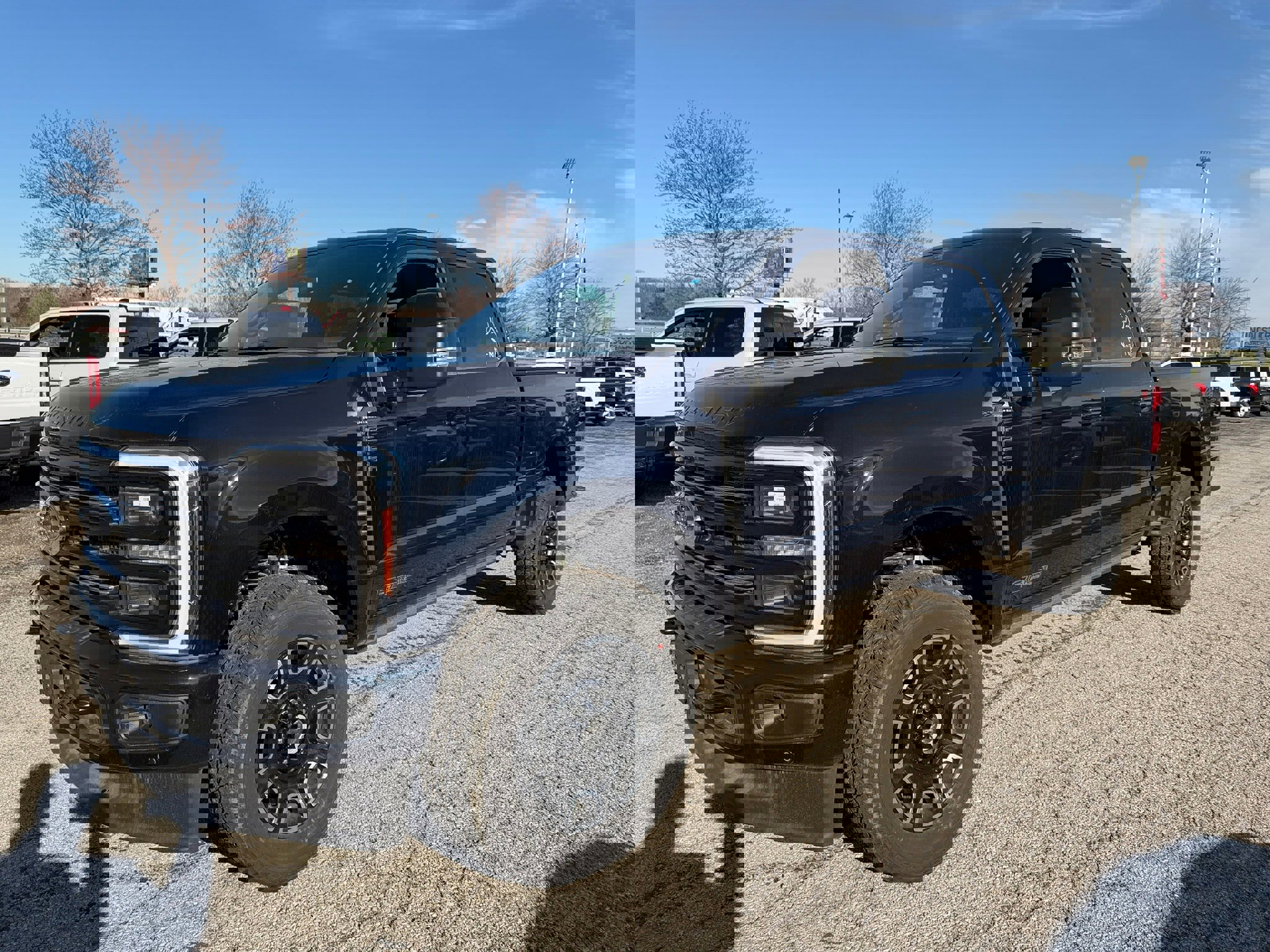 New 2025 Ford F250 Platinum image 5