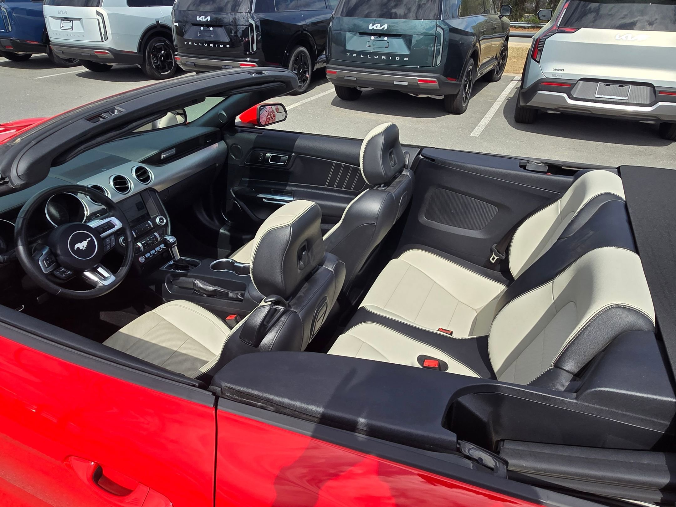 Used 2019 Ford Mustang Premium image 11