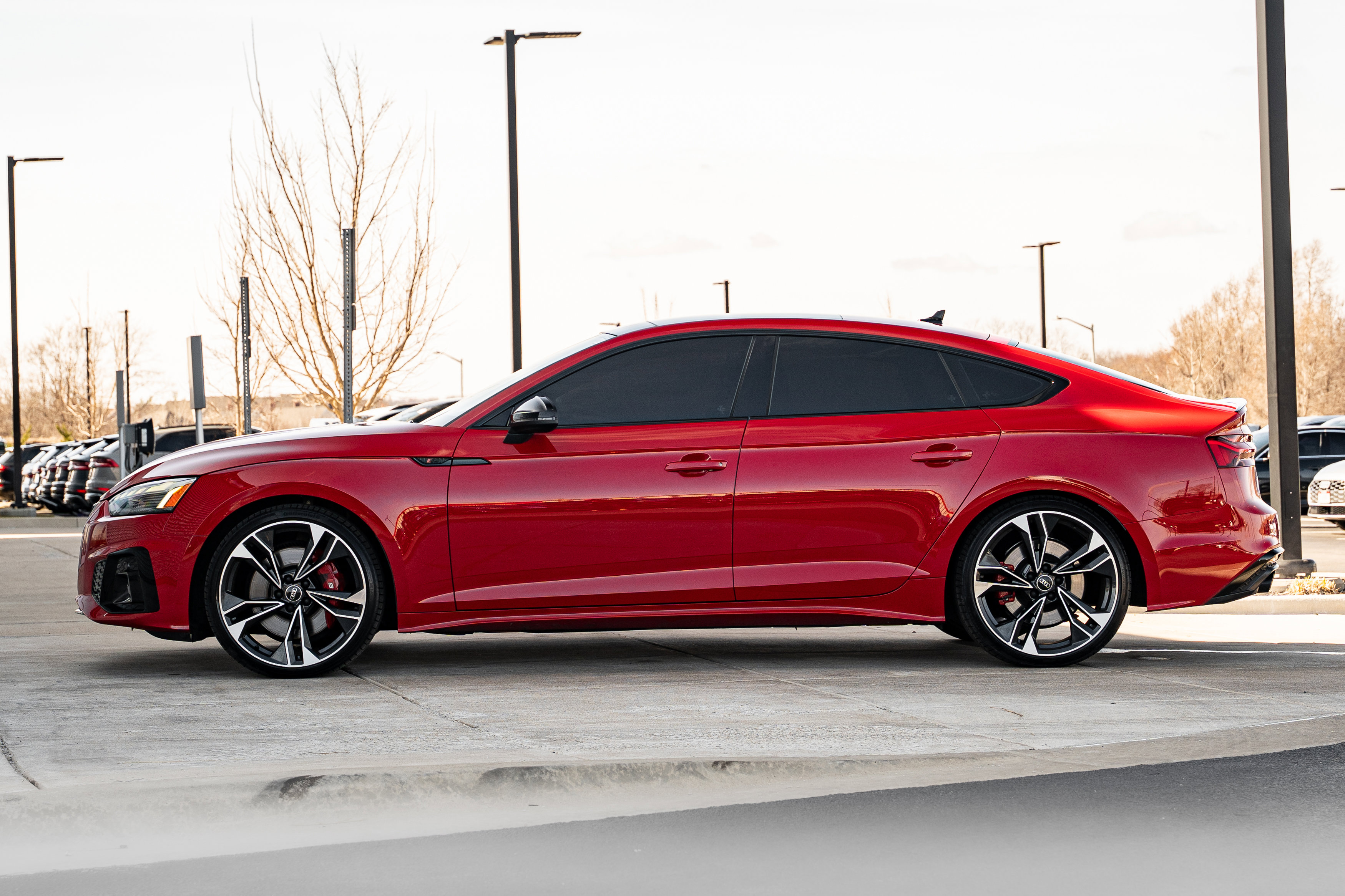 Certified 2024 Audi S5 Premium Plus w/ Premium Plus Package image 6