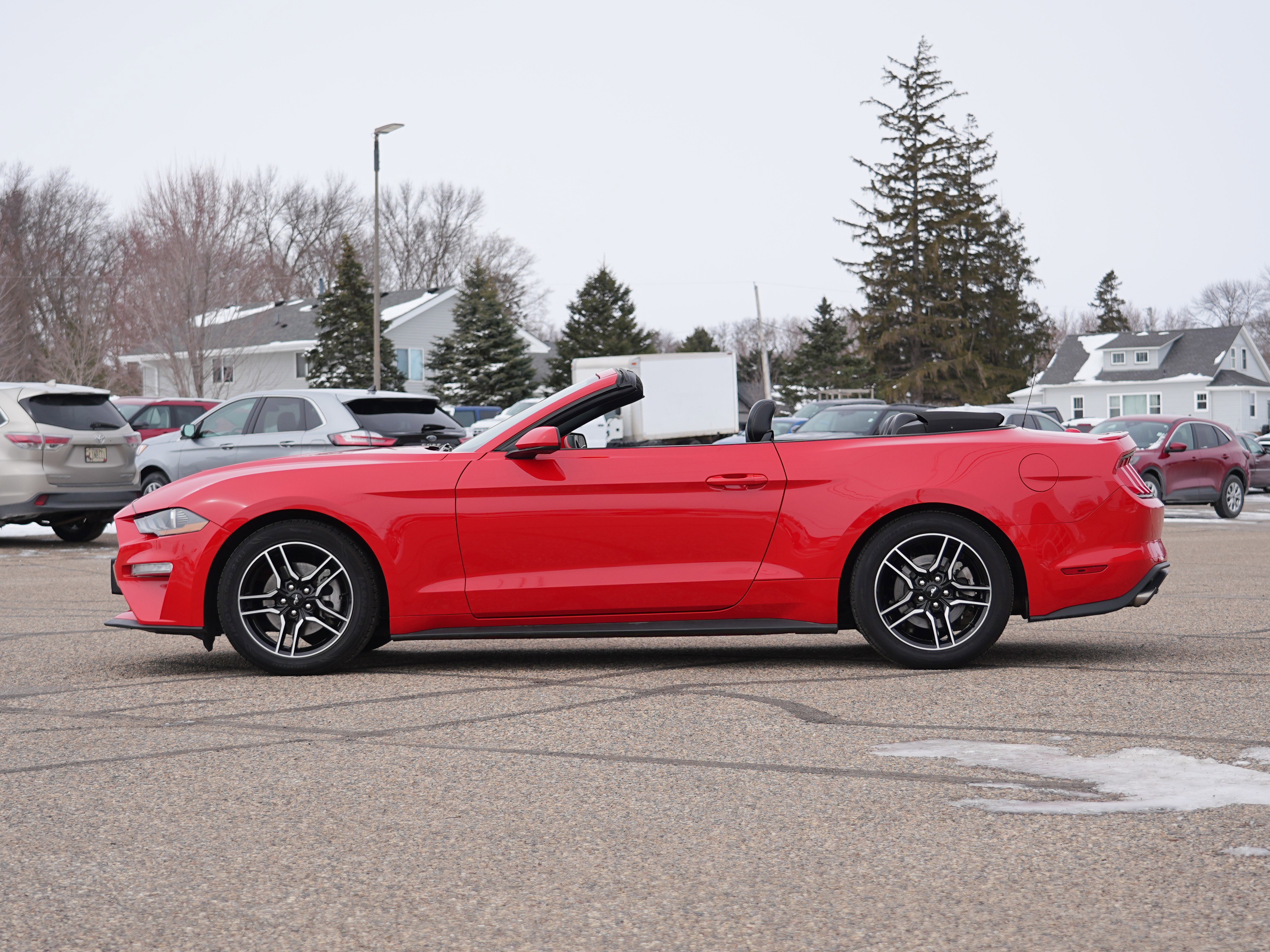Used 2022 Ford Mustang Premium image 8