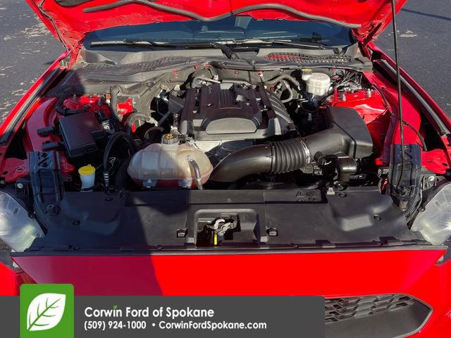 Used 2019 Ford Mustang Coupe w/ Equipment Group 101A image 33