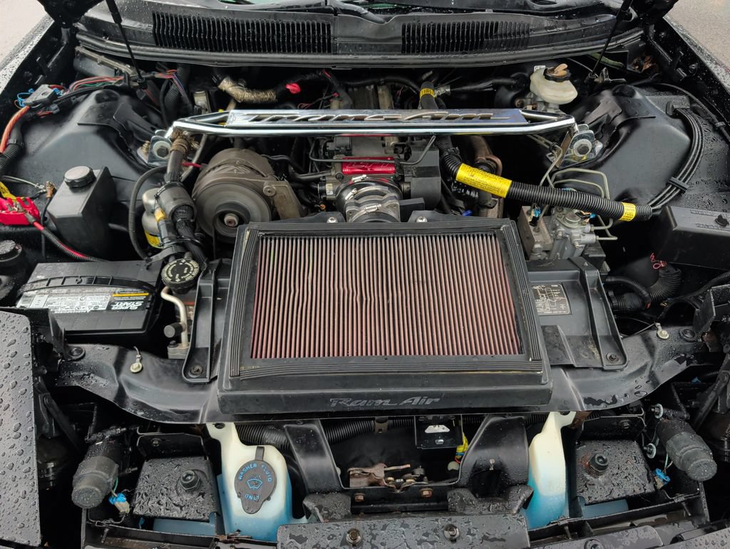 Used 1995 Pontiac Firebird Trans Am RWD image 20