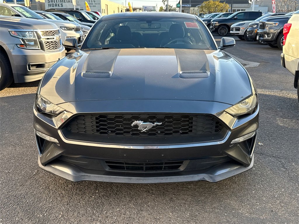 Used 2019 Ford Mustang Coupe w/ Ecoboost Performance Package image 3