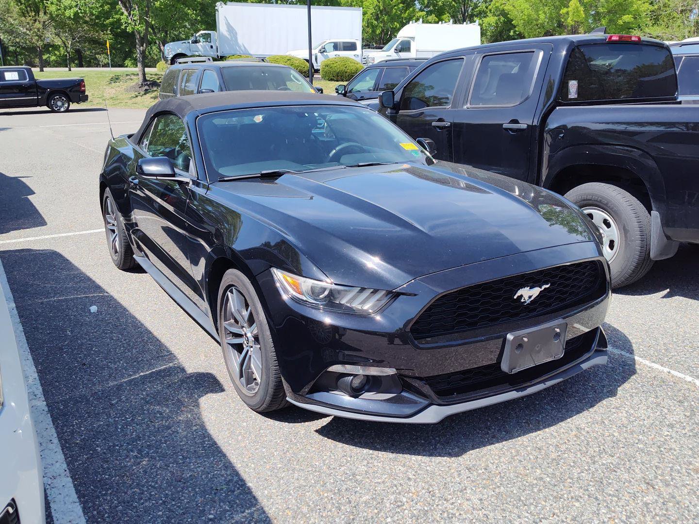 Used 2016 Ford Mustang Premium image 3