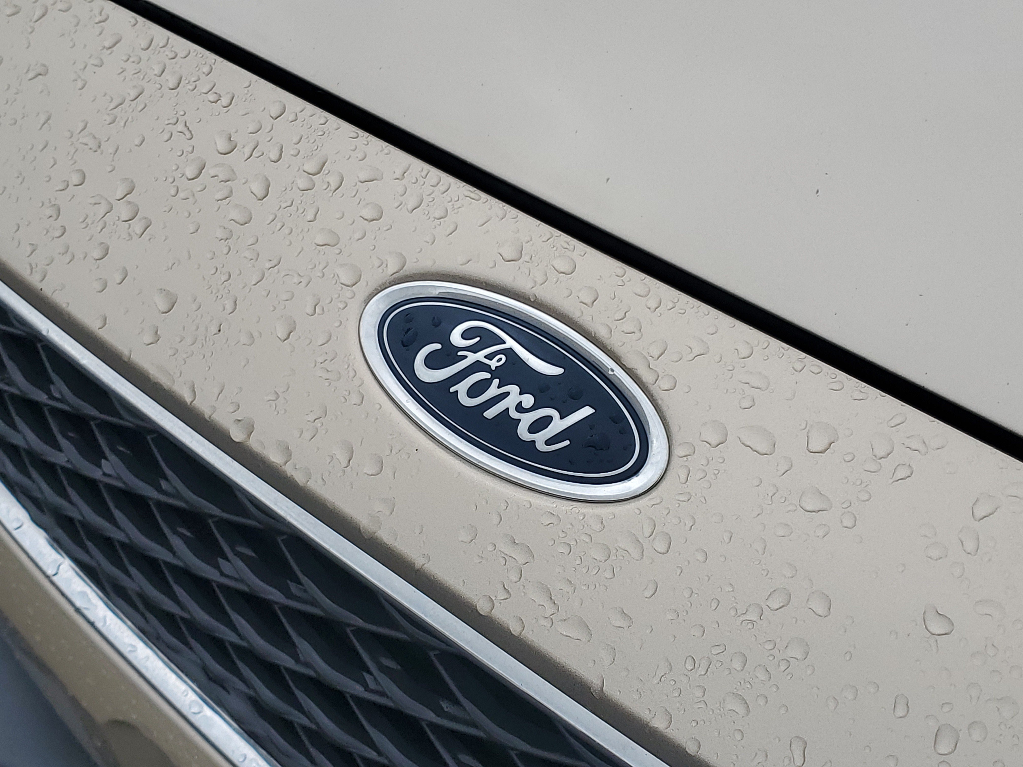 Used 2018 Ford Focus SE FWD image 13