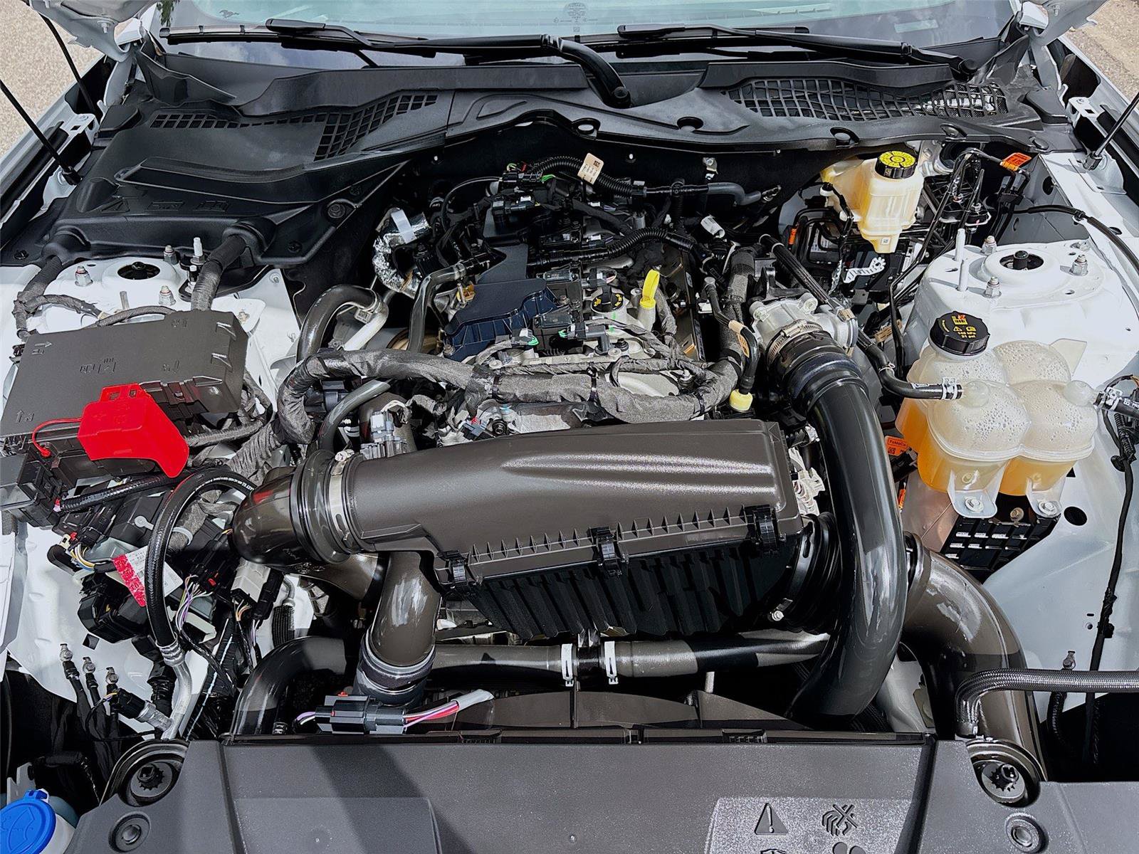 Used 2026 Ford Mustang Premium RWD image 22