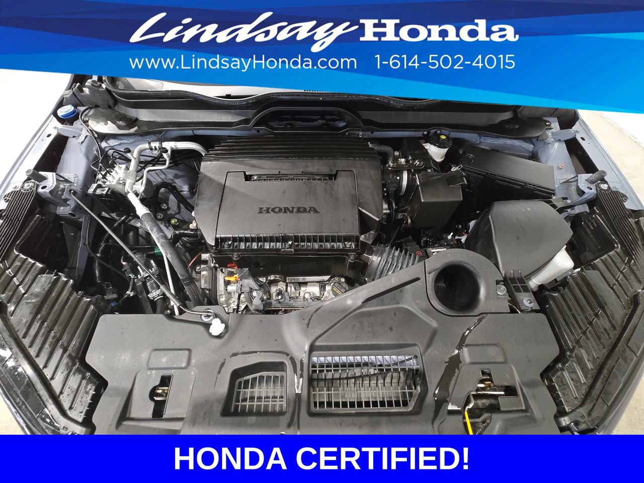 Certified 2025 Honda Pilot Black Edition image 26