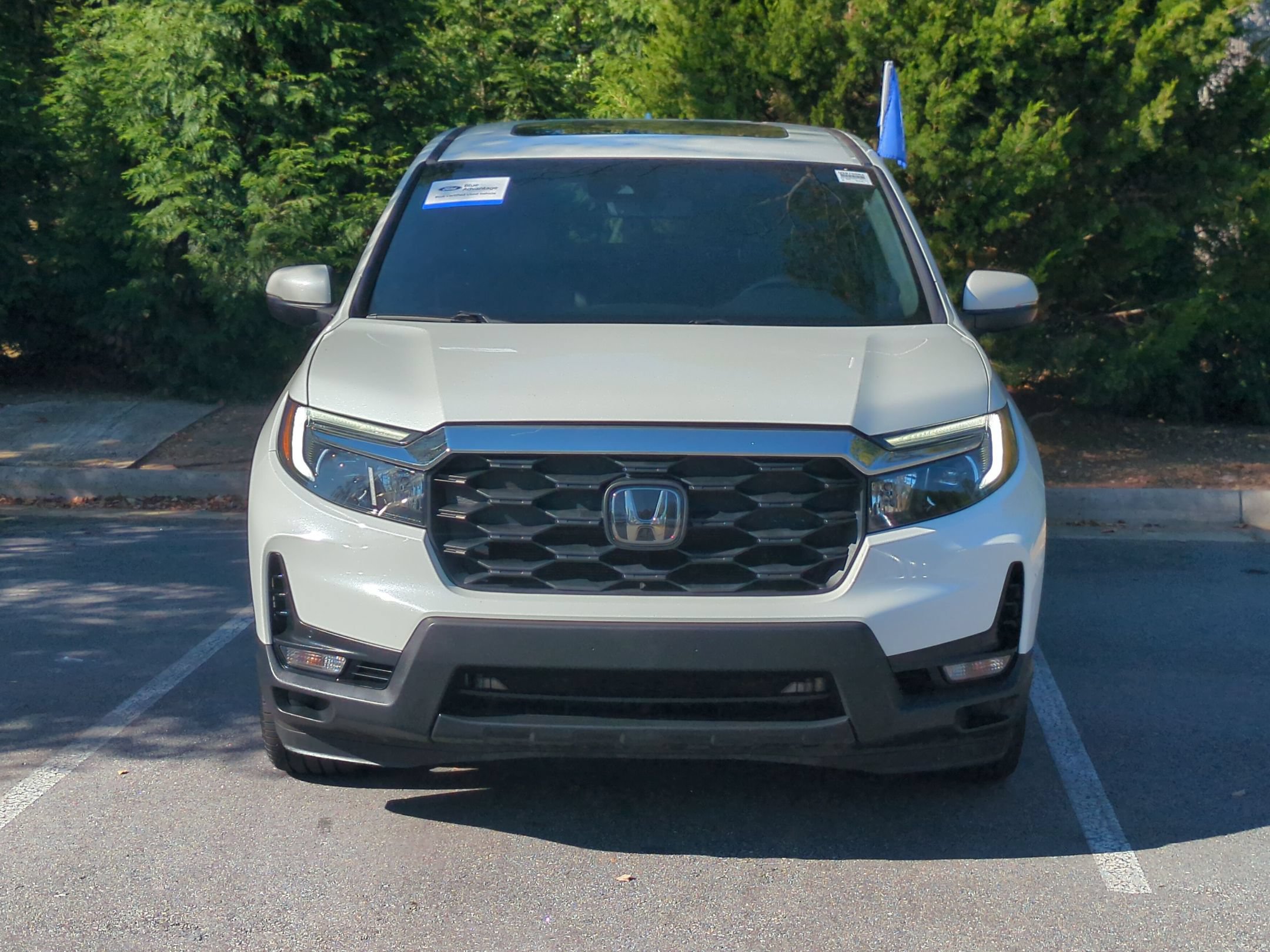 Used 2022 Honda Passport EX-L image 7