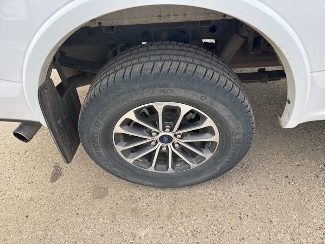 Used 2020 Ford F150 XLT w/ Equipment Group 302A Luxury AWD/4WD image 9