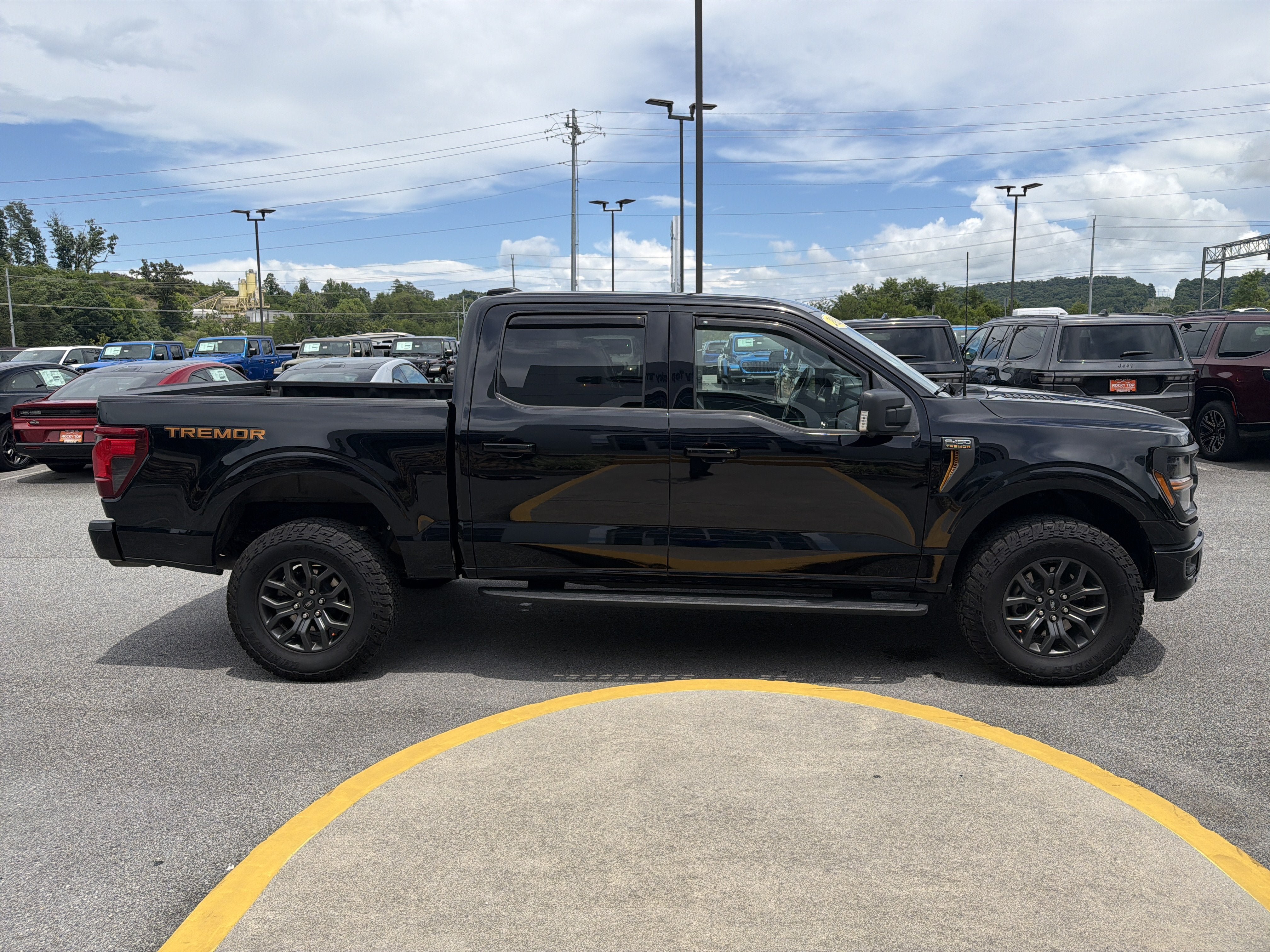 Used 2025 Ford F150 Tremor w/ Tow/Haul Package AWD/4WD image 7