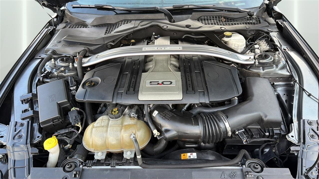 Used 2019 Ford Mustang GT w/ GT Performance Package RWD image 32