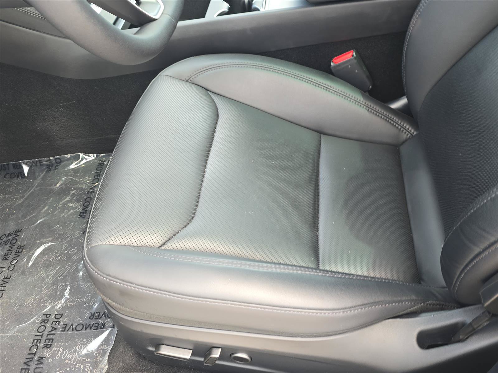 Used 2025 Tesla Model 3 Long Range RWD image 14