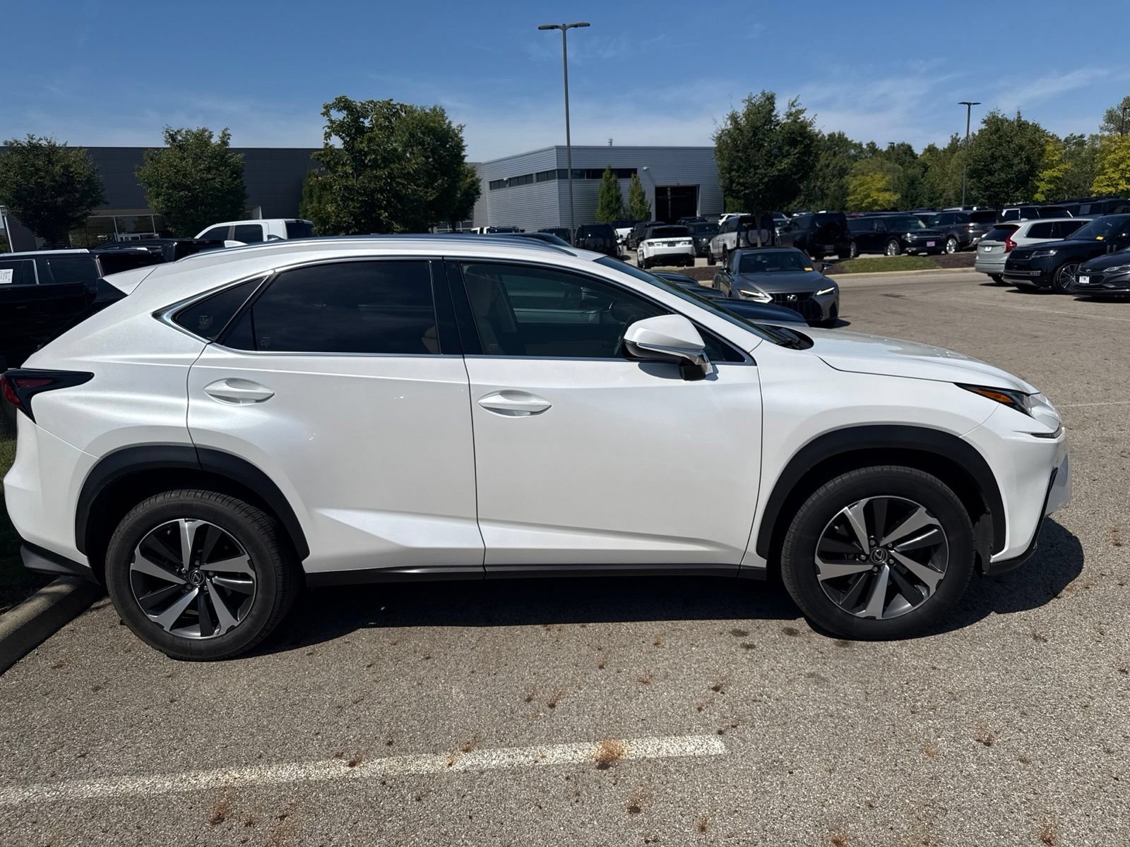 Used 2019 Lexus NX 300 AWD w/ Premium Package image 4