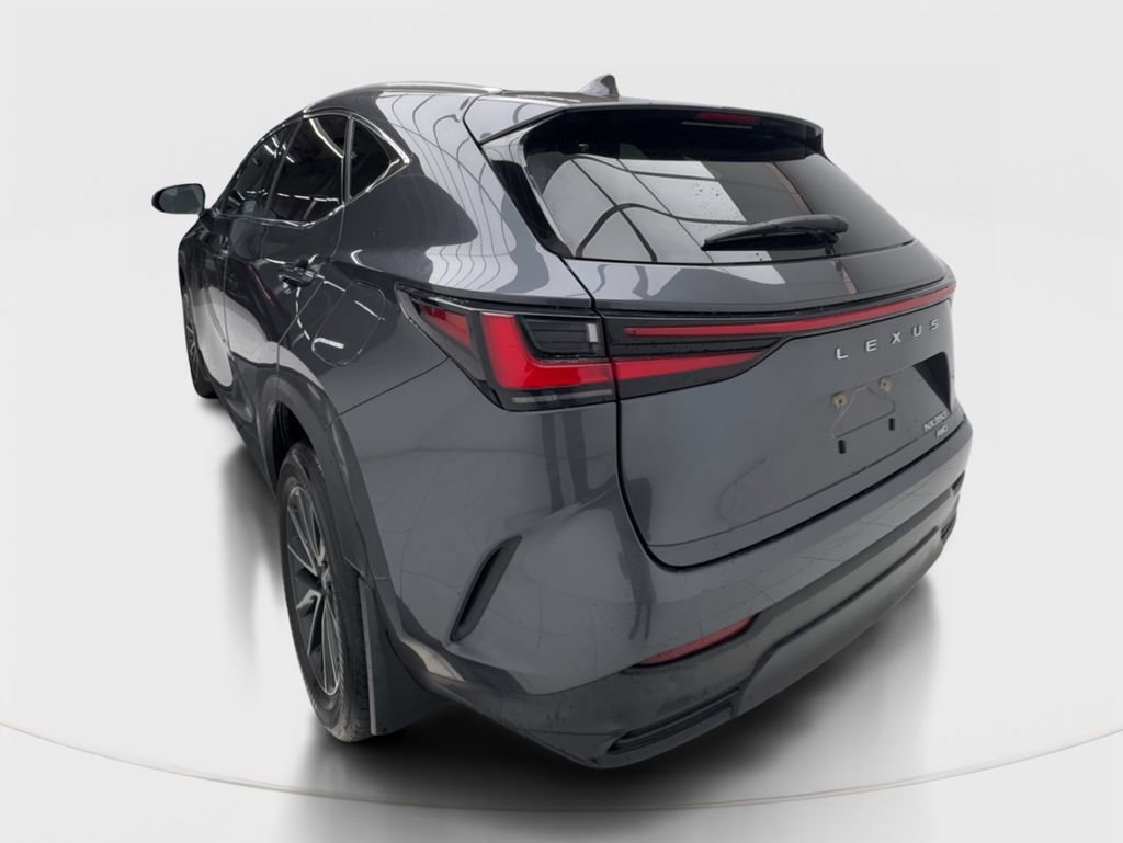 Used 2024 Lexus NX 350 AWD w/ Cold Area Package image 10