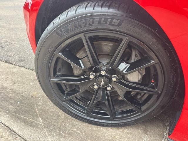 Used 2017 Ford Mustang GT Premium w/ Equipment Group 401A image 11