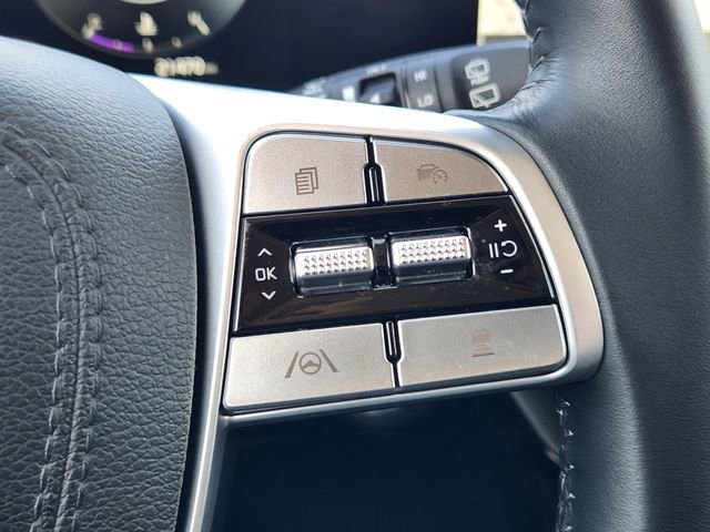 Used 2025 Kia Telluride SX image 30