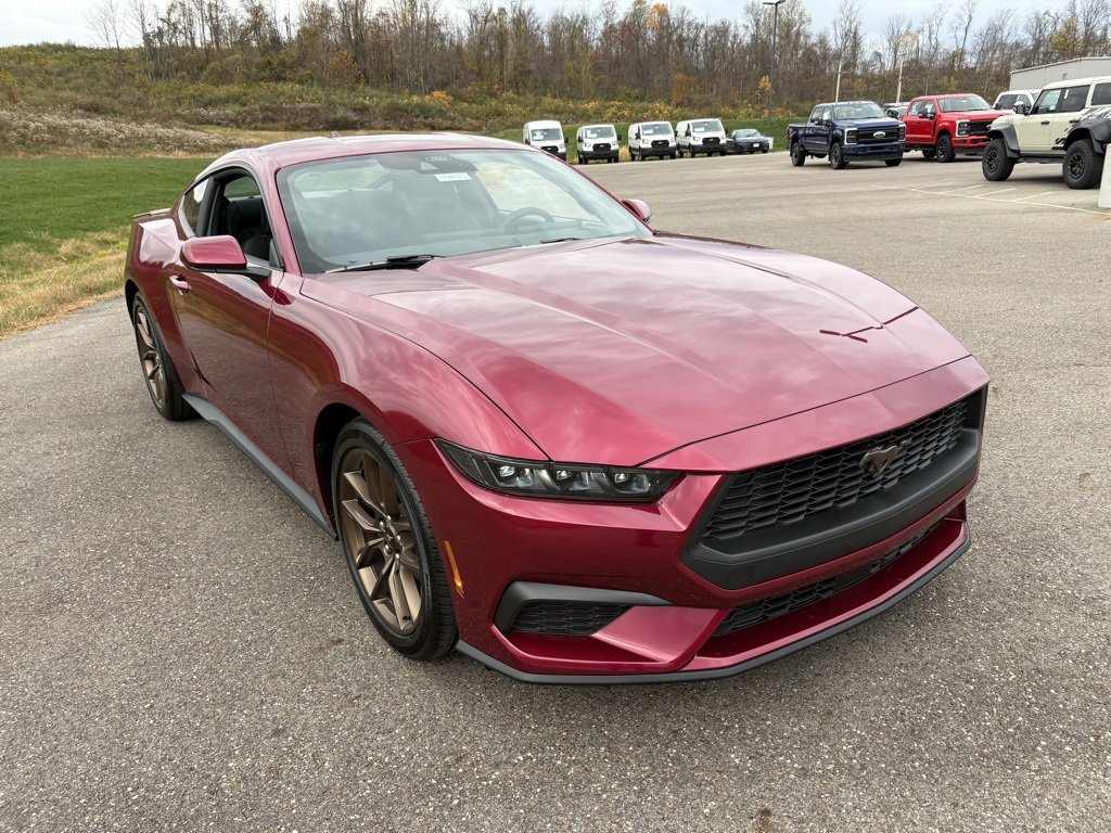 New 2026 Ford Mustang EcoBoost w/ Bronze Appearance Package image 7
