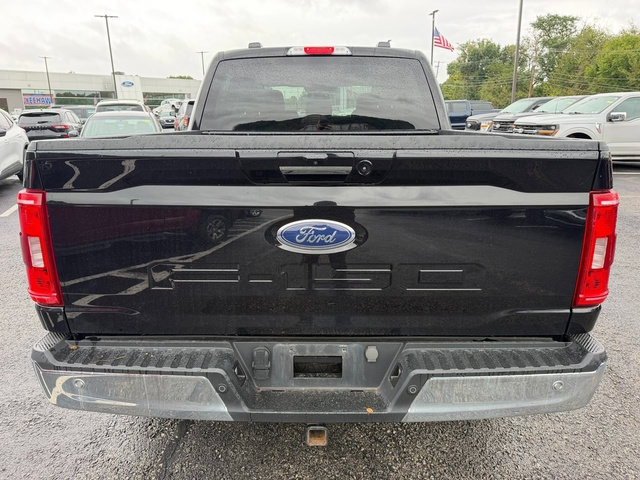 Used 2023 Ford F150 XLT w/ Equipment Group 302A High AWD/4WD image 5