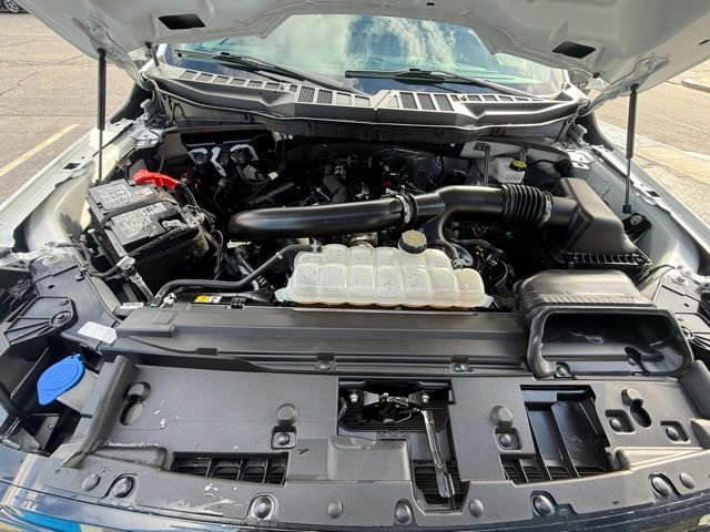 Used 2025 Ford F150 XLT w/ Equipment Group 301A Standard image 27