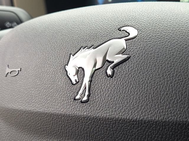 New 2025 Ford Bronco Sport Big Bend w/ Convenience Package image 25