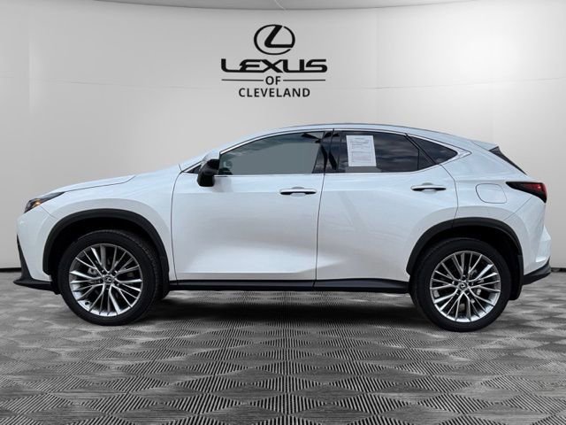 Used 2025 Lexus NX 350 AWD w/ Accessory Package (2T) image 3