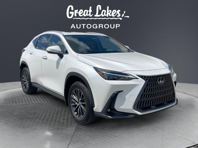 Used 2024 Lexus NX 350h AWD image 7