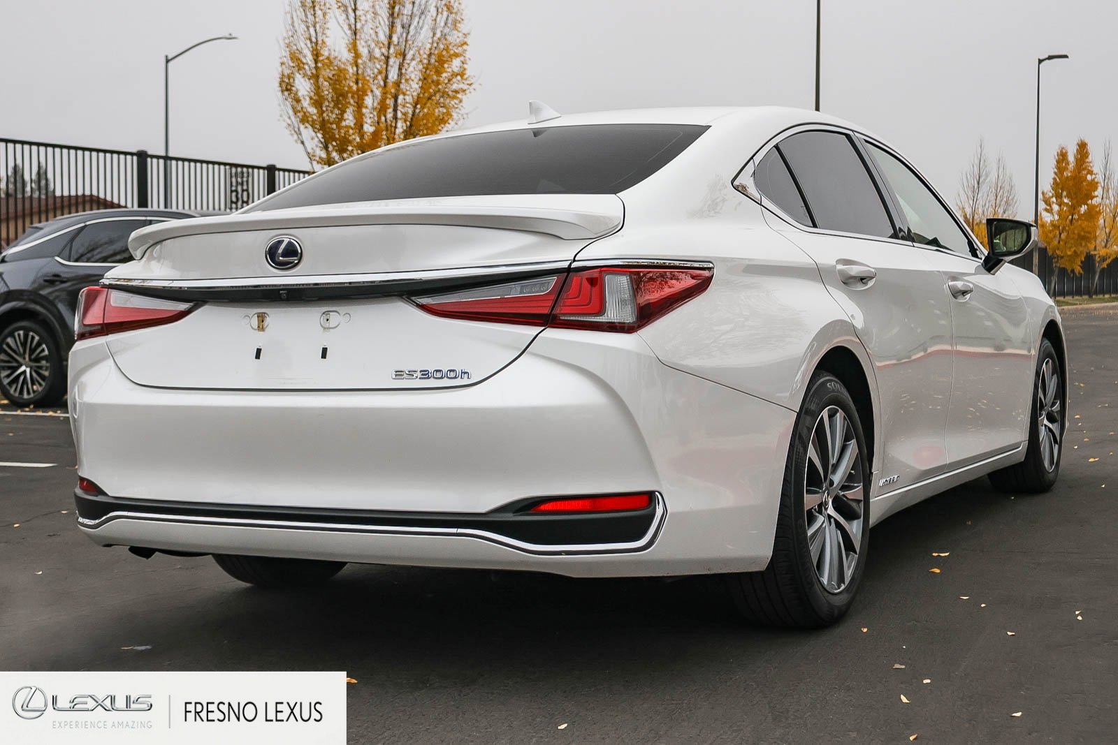 Used 2019 Lexus ES 300h image 6