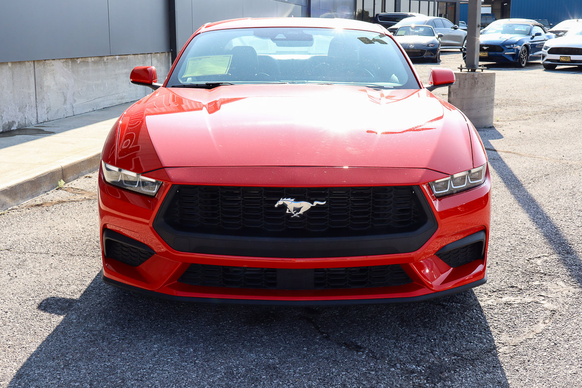 Used 2024 Ford Mustang Premium image 2