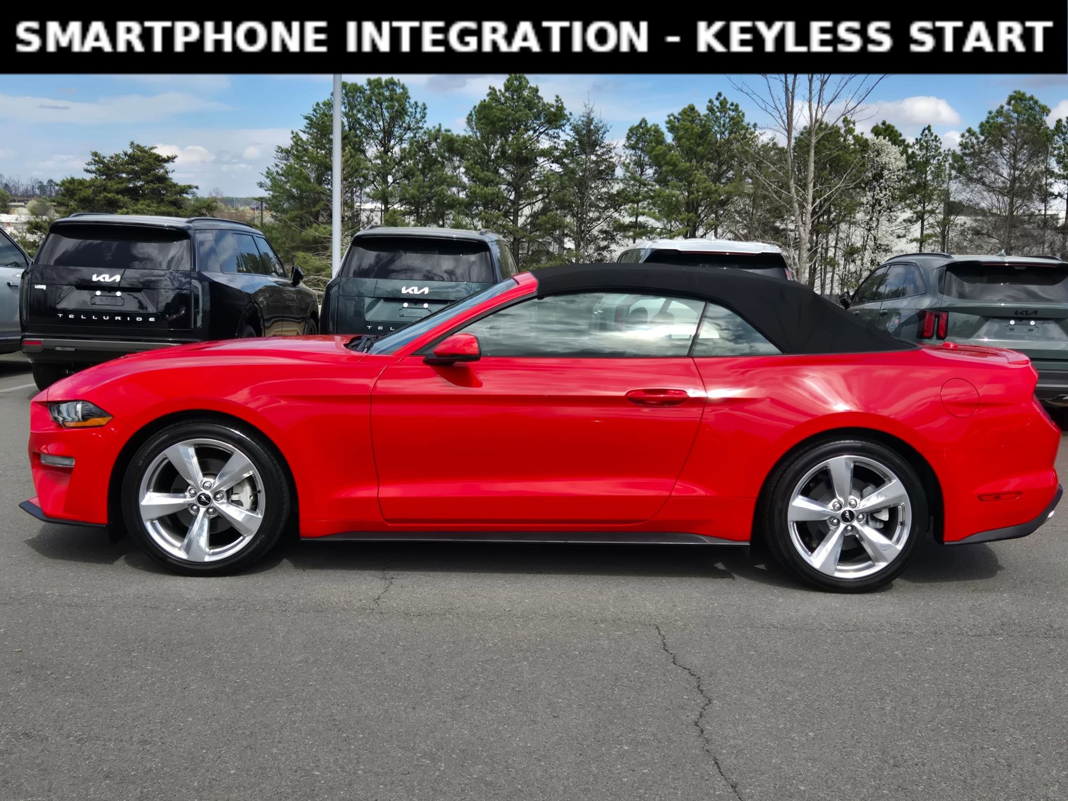Used 2019 Ford Mustang Premium image 4