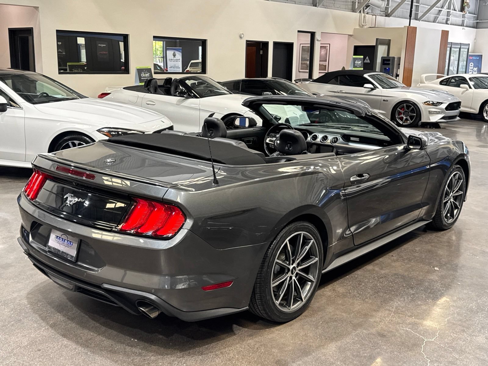 Used 2019 Ford Mustang Premium w/ Equipment Group 201A RWD image 44
