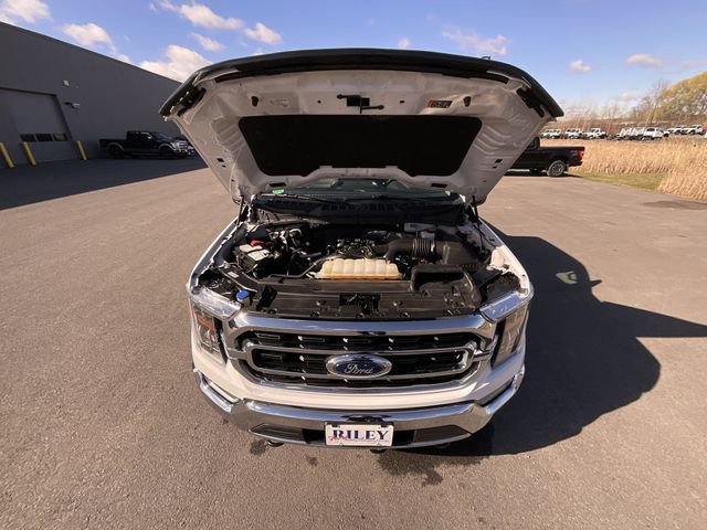 Used 2022 Ford F150 XLT w/ Equipment Group 302A High AWD/4WD image 25