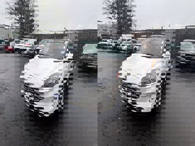 Used 2022 Ford Escape Titanium w/ Titanium Elite Package image 3