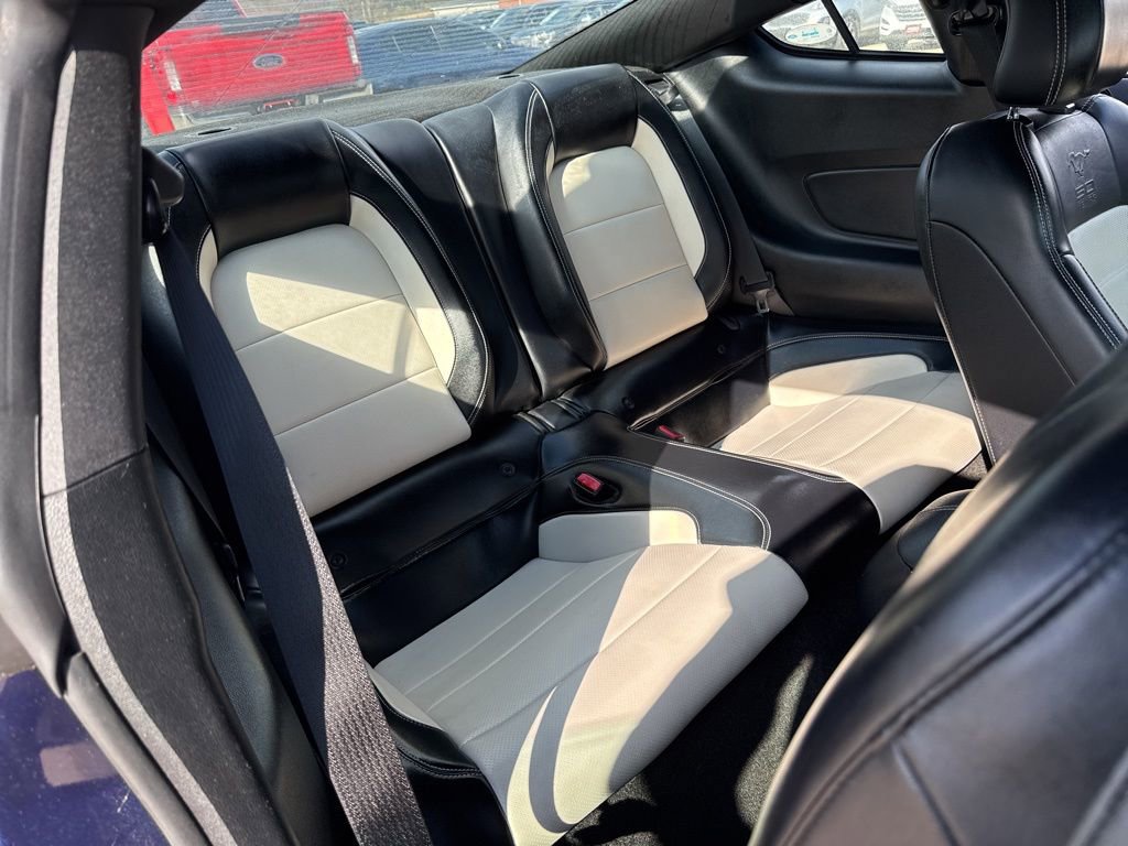 Used 2015 Ford Mustang 50 Years RWD image 14