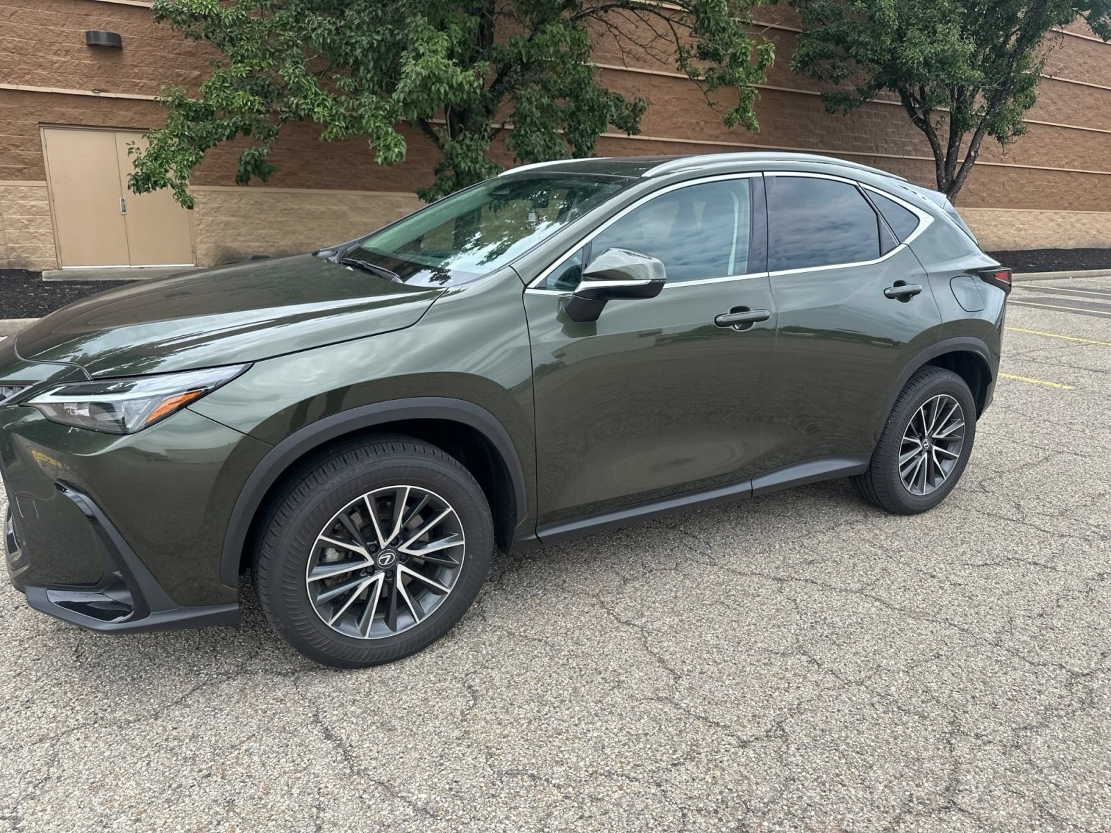 Used 2025 Lexus NX 350h AWD w/ Accessory Package (2T) image 8
