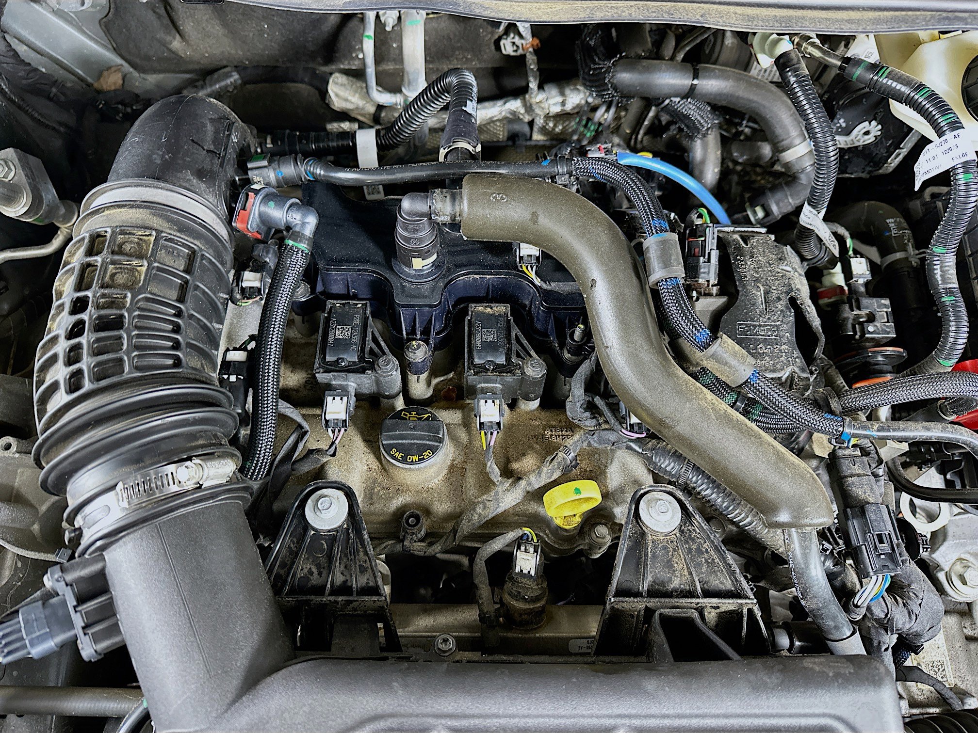 Used 2024 Ford Escape ST-Line image 33