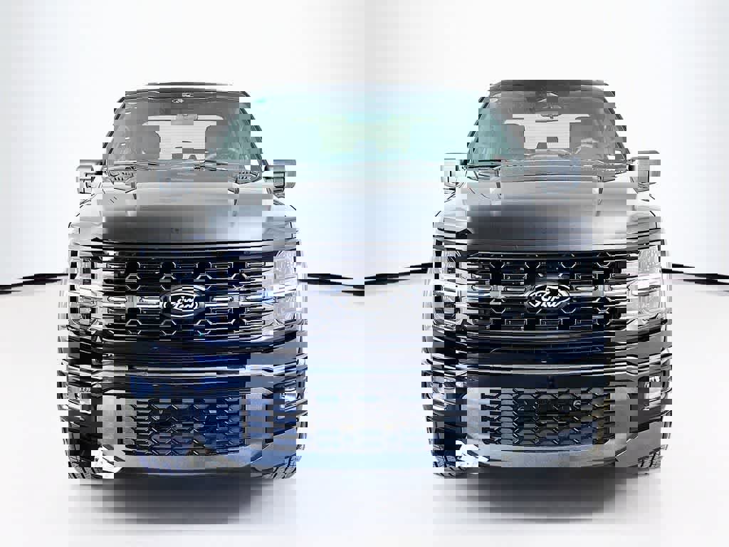 New 2025 Ford F150 STX w/ LOBO Package image 6