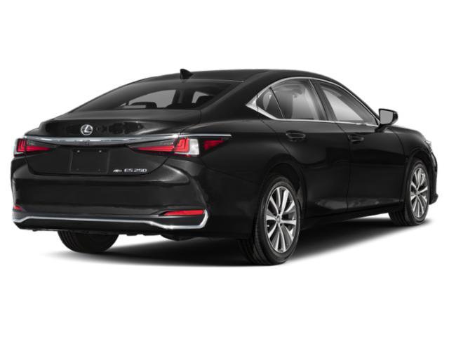 Used 2021 Lexus ES 250 w/ Premium Package AWD/4WD image 2
