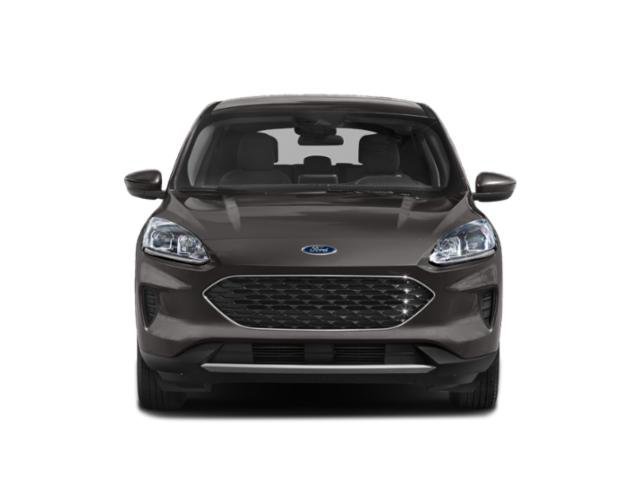 Used 2020 Ford Escape SE image 4