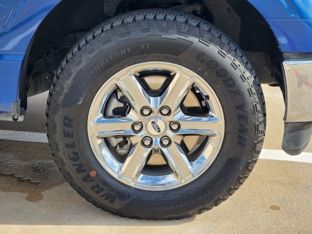 Used 2025 Ford F150 XLT w/ Equipment Group 301A Standard AWD/4WD image 10