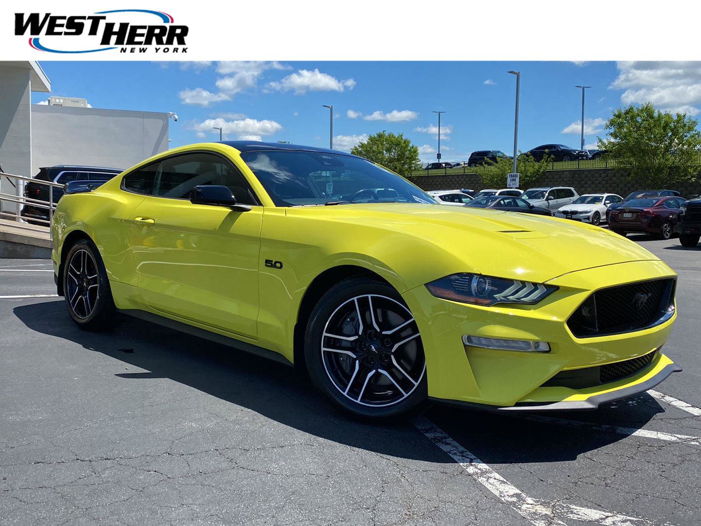 Used 2021 Ford Mustang GT w/ Equipment Group 301A