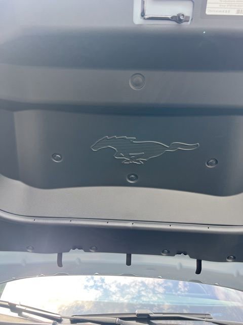 New 2025 Ford Mustang Mach-E GT image 42