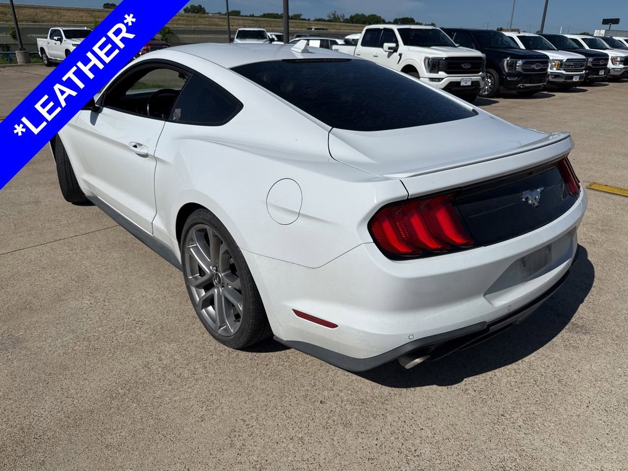 Used 2022 Ford Mustang Premium w/ Equipment Group 201A RWD image 6