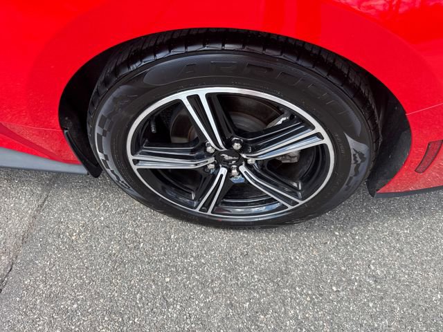 Certified 2024 Ford Mustang Premium RWD image 13
