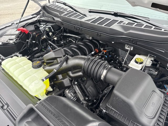 New 2025 Ford F150 XLT image 13