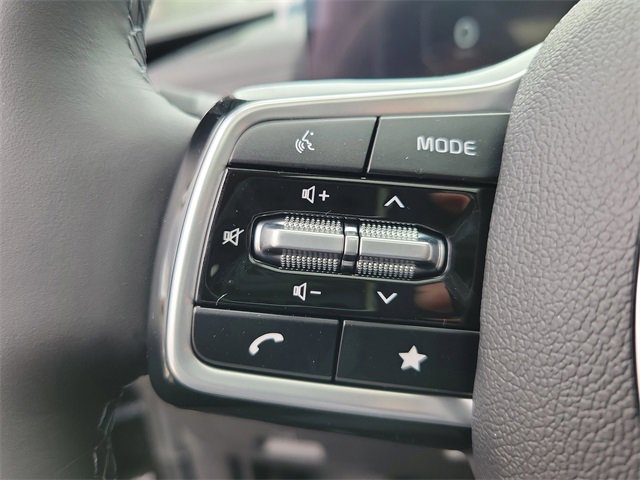 New 2026 Kia Carnival SX Prestige image 21