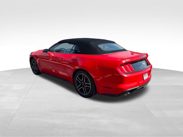 Used 2023 Ford Mustang Premium image 5