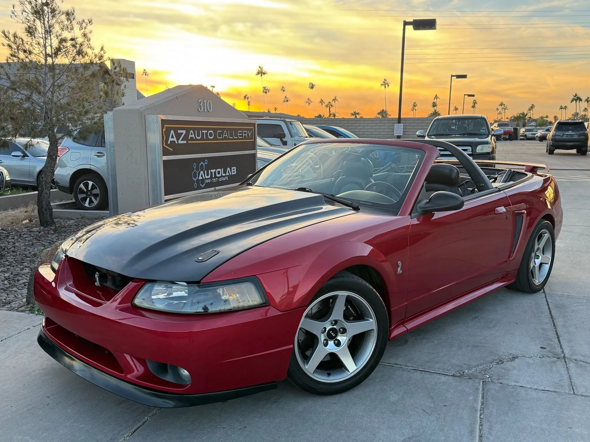 Used 2001 Ford Mustang Cobra