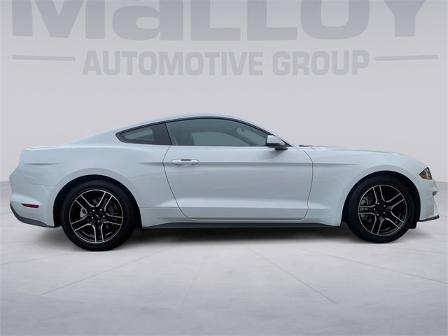 Used 2022 Ford Mustang Premium w/ Equipment Group 201A image 6